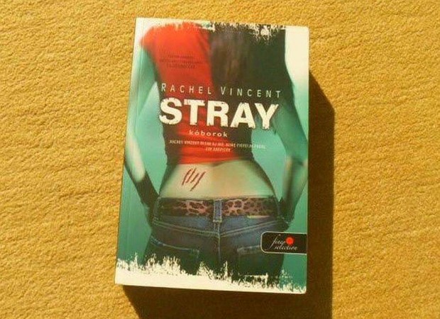 Stray - Kborok - Rachel Vincent