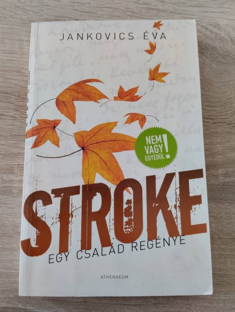 Stroke - Egy csald regnye 