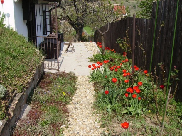 Sukor�i elad� 25 nm-es h�z