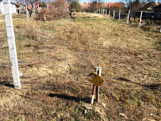 Sükösd építési gazdálkodási telek szép közműves helyen 733nm