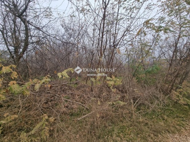 S�lys�pon, a z�rtkerti �vezetben elad� 2077 m-es telek!