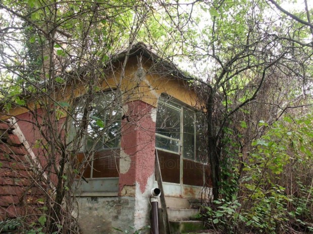 S�megen, t�jpanor�m�s pince, legyen az �n kincse!