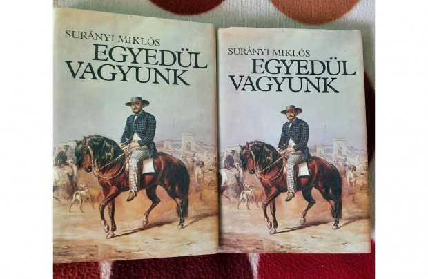 Surányi Miklós: Egyedül vagyunk c. könyv eladó