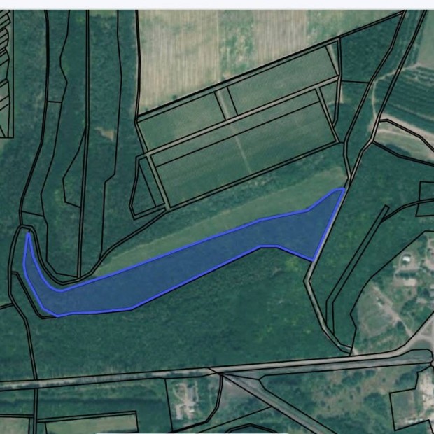 S�rg�sen Elad� Erd� Visonta