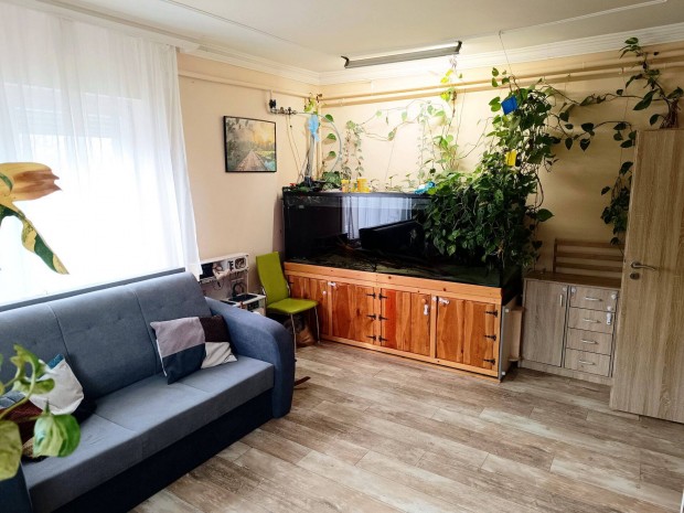 S�rg�sen elad� Mikep�rcsi csal�di h�z