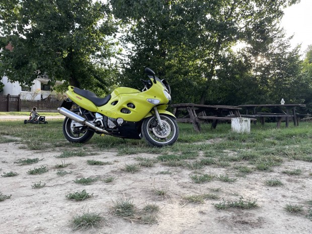 Suzuki gsxf600