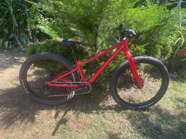 Svjci BMC Twostroke AL24 gyermek mountainbike kerkpr elad