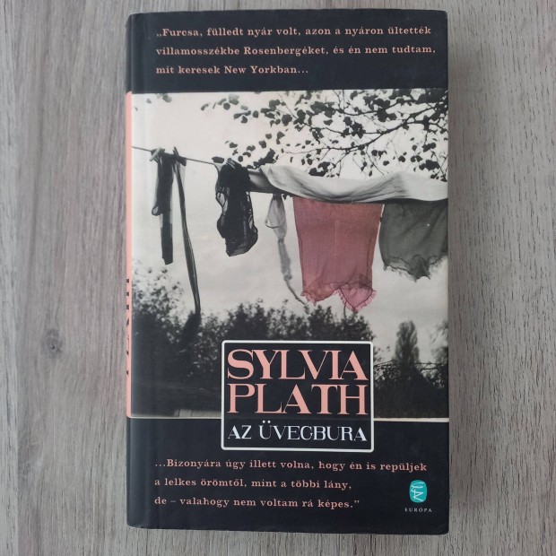 Sylvia Plath: Az vegbra