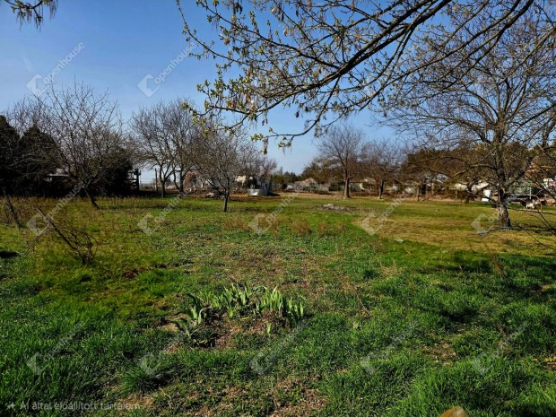 Szabadbatty�ni elad� 1116 nm-es telek