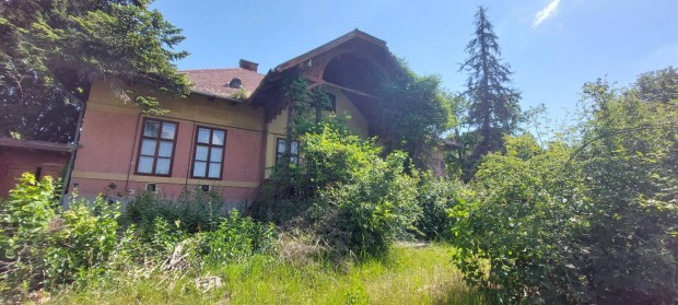 Szadn tulajdonostl elad a Guary-villa