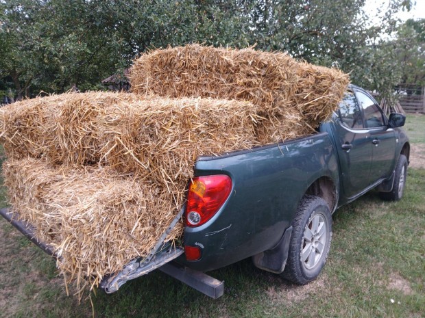 Szalama kiskoca bla