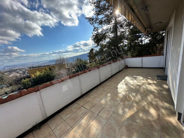 Szalamandra k�zben k�t h�l�szob�s b�torozatlan, �llatbar�t lak�s kiad�