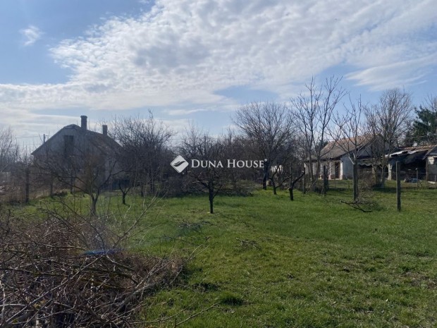 Szalkszentm�rtoni elad� 1195 nm-es telek