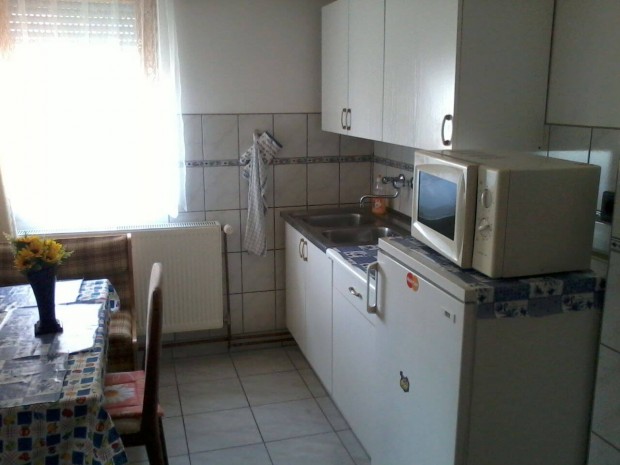 Szlls, apartman a Balaton mellett