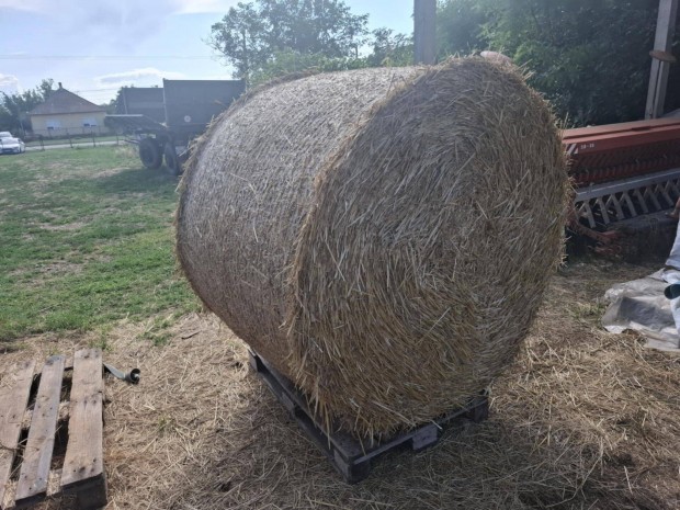 Szalma krbla 150 cm elad