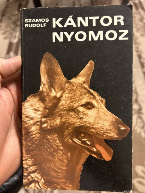 Szamos Rudolf: Kntor Nyomoz