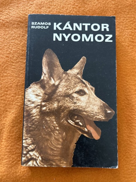 Szamos Rudolf: Kntor Nyomoz