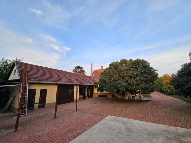 Szandasz�l�si , kertes , csal�di h�z elad� !