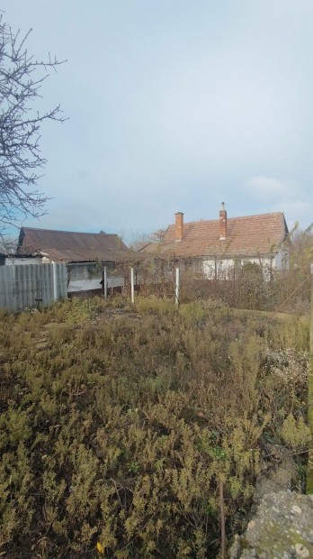 Szandasz�l�s�n oszthat�, �sszk�zm�ves �p�t�si telek