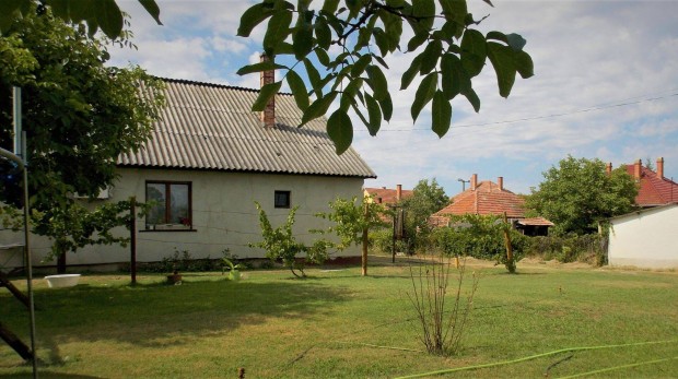 Szank belter�let�n nagy h�z nagy telken elad�