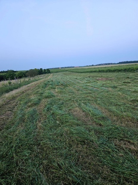 Szántó - 0,41ha Sopron - Fertőboz
