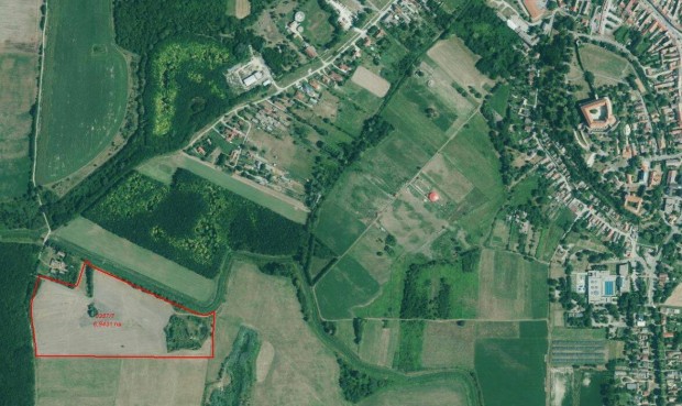 Sz�nt�, term�f�ld Sikl�s hat�r�ban