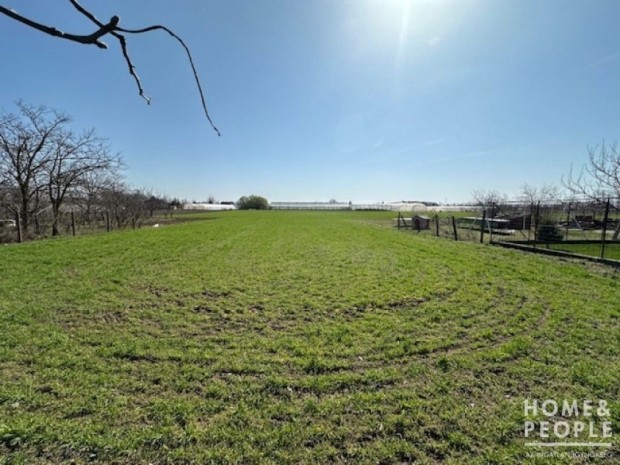 Sz�nt� elad� Csanyteleken!