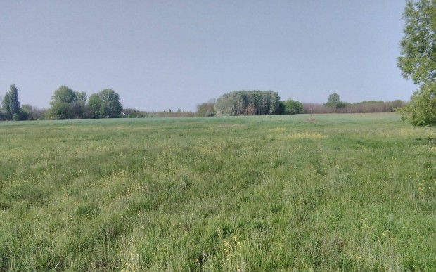 Szántó és rét, 4,3 hektár eladó Kiskunmajsán