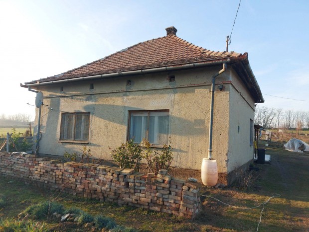 Szántóföld Ajándékba, eladó családi házhoz Bölcskén!