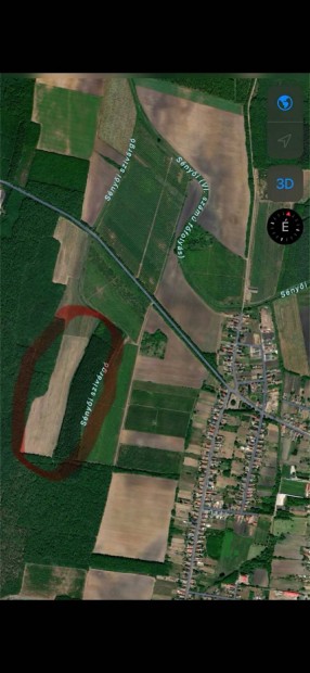 Sz�nt�f�ld, term�f�ld