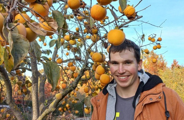 Szárazságtűrő kakiszilva, gránátalma, pekándió, ciprusok, babérmeggy,