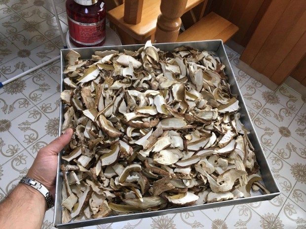 Szrtott Vargnya Nagyon szp minsg