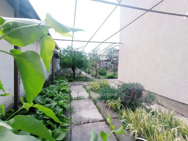 Szarvasi elad� 110 nm-es h�z