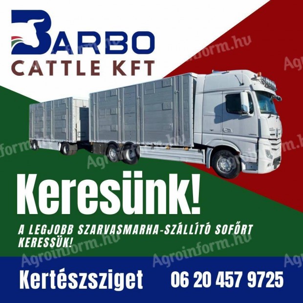 Szarvasmarha-szállító kamionsofőr keresünk