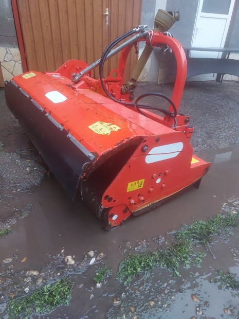 Sz�rz�z�,160cm, Y-k�ses maschio 