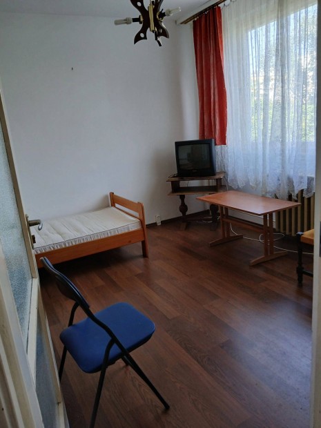 Szeged Albrleti szoba kiad