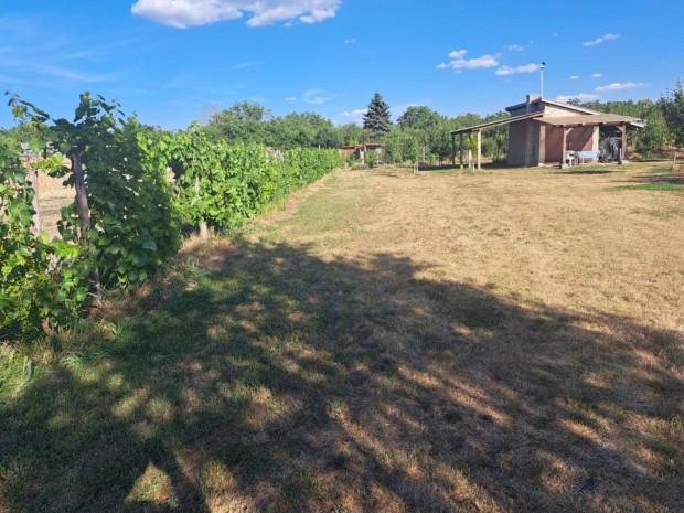 Szeged, Ballagi-t kiskert 1235 m2, szp, gondozott, t mellett