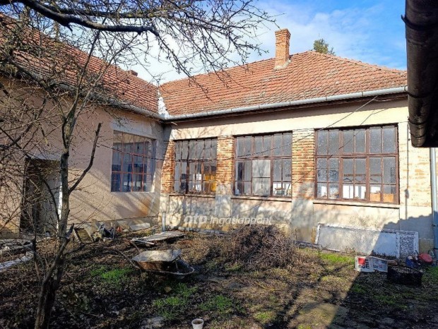 Szegedi 150 nm-es h�z elad�