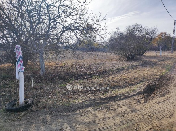 Szegedi elad� 2620 nm-es telek