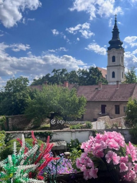 Szegedi elad� 300 nm-es h�z