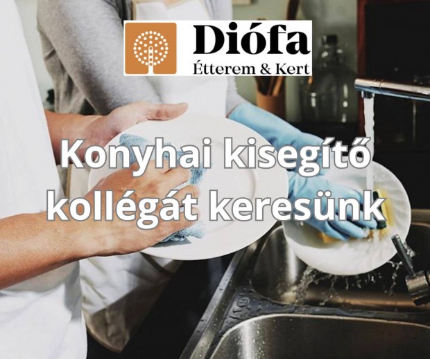 Székesfehérvári Diófa étterem konyhai kisegítő kollégát keres