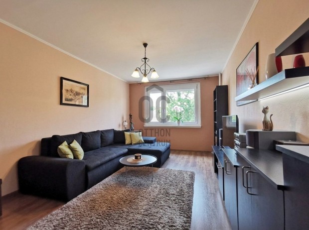 Sz�kesfeh�rv�ri elad� 62 nm-es lak�s