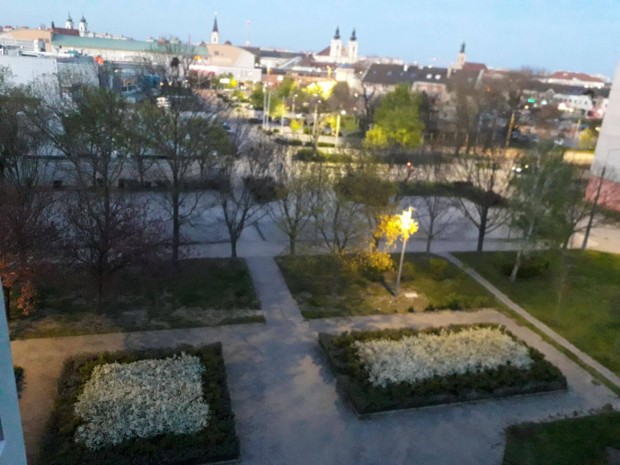 Sz�kesfeh�rv�ron, Palotav�rosban 55nm-es lak�s elad�