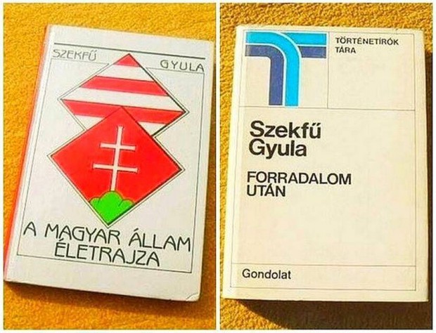 Szekf Gyula - A magyar llam letrajza - Forradalom utn