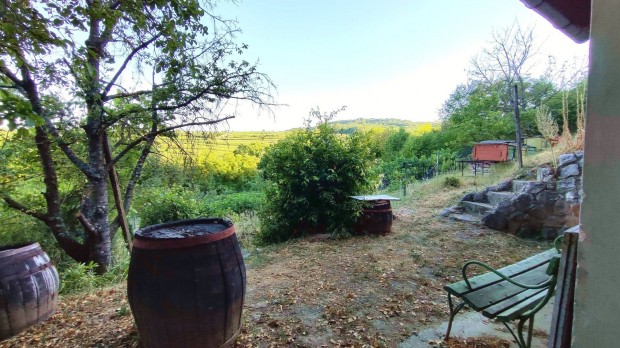 Szekszárd Baranya-völgy, betonút melletti panorámás ingatlan