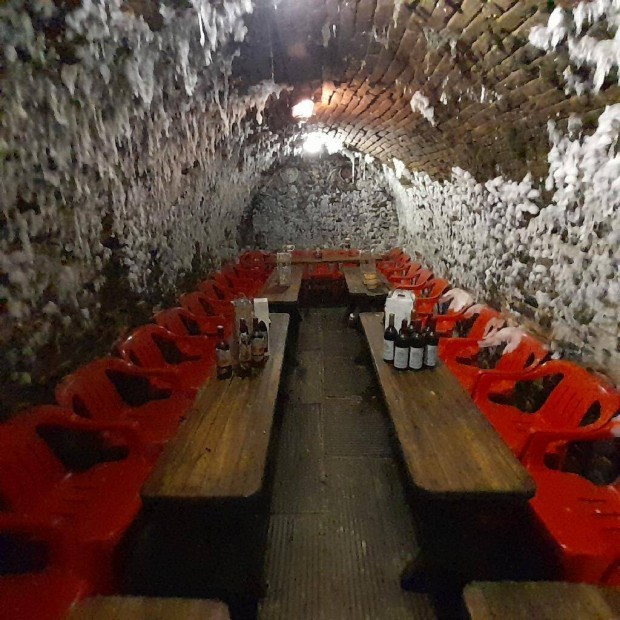 Szekszárd - üzemelő borozó, termő szőlő 2975 nm területen eladó!