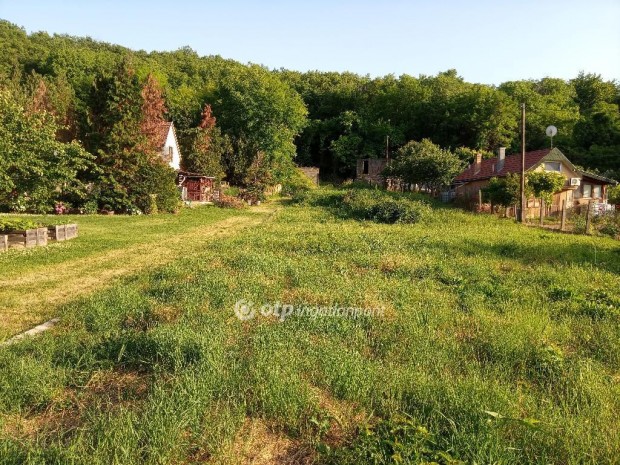 Szeksz�rdi 2569 nm-es telek elad�