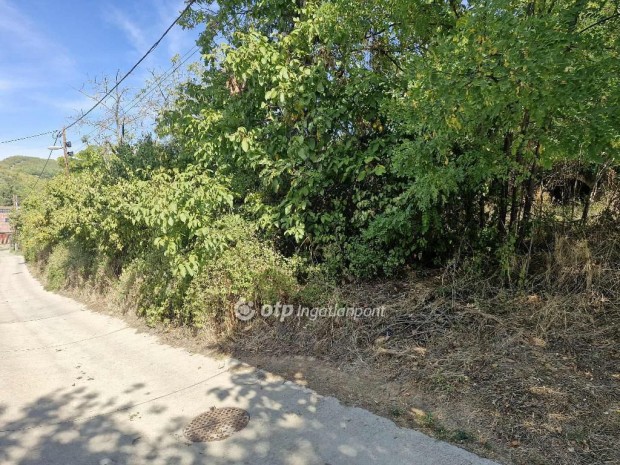 Szeksz�rdi 2873 nm-es telek elad�