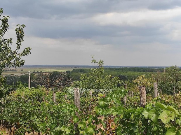 Szeksz�rdi elad� 995 nm-es telek