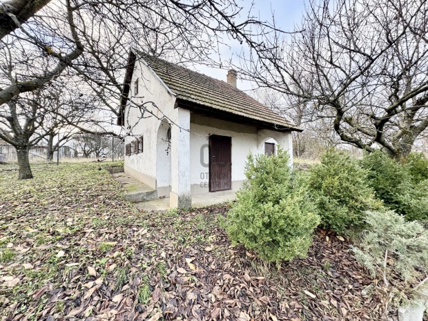 Szeksz�rdi elad� t�gla tanya